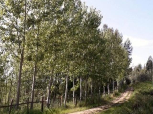 Quinta com 25.000 m²