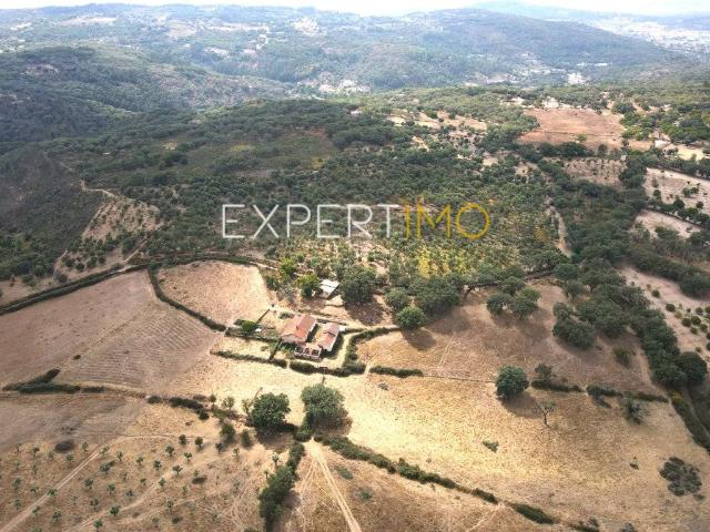 Quinta com 25,25 hectares 3 Km Barragem Apartadura