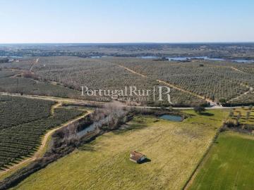 Quinta com 29 hectares em Avis 55m² Avis