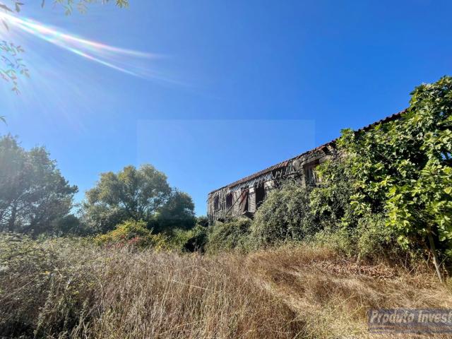 Quinta com 2,5 Hectares – Boidobra, Covilhã