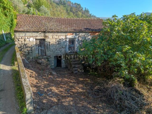 Quinta com 2,8 ha e Casa em Ruína para Recuperar Covelas, Cinfães Viseu