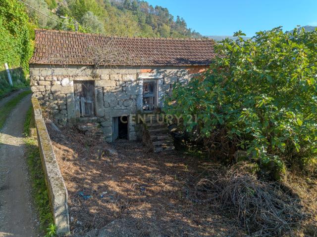 Quinta com 2,8 ha e Casa em Ruína para Recuperar – Covelas, Cinfães Viseu