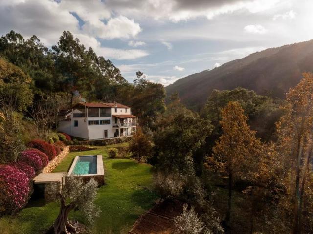 Quinta com 2 casas, 2 ruínas piscina e cerca de 1 hectare de terreno