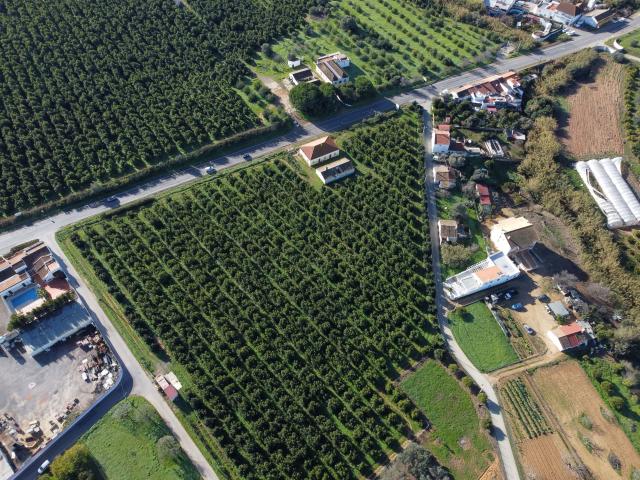 Quinta com 2 Casas e Terreno Agrícola em frente à EN125