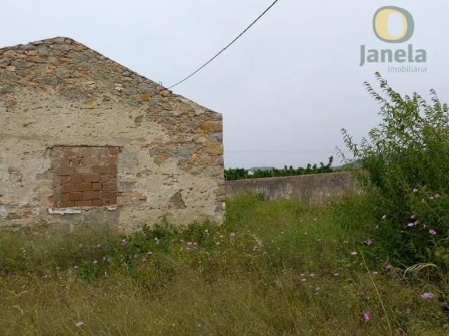 Quinta com 2 hectares e casa por restaurar 76m² Conceição