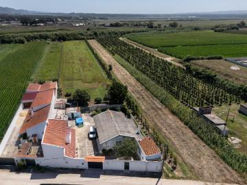 Moradia T4 + T2 Terreno com 4.400 m² São Martinho do Porto