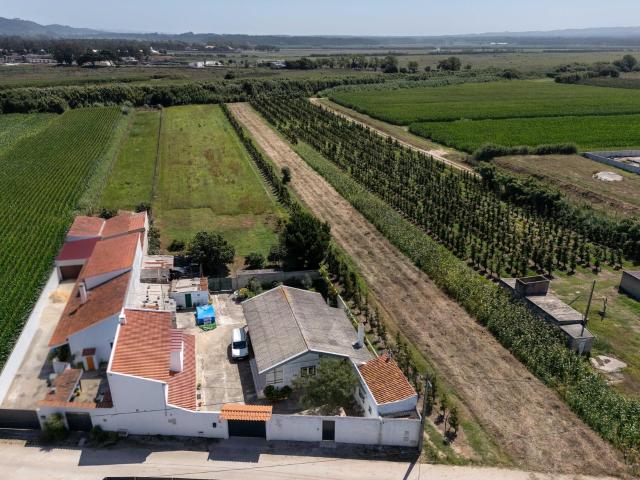 Moradia T4 + T2 Terreno com 4.400 m² São Martinho do Porto