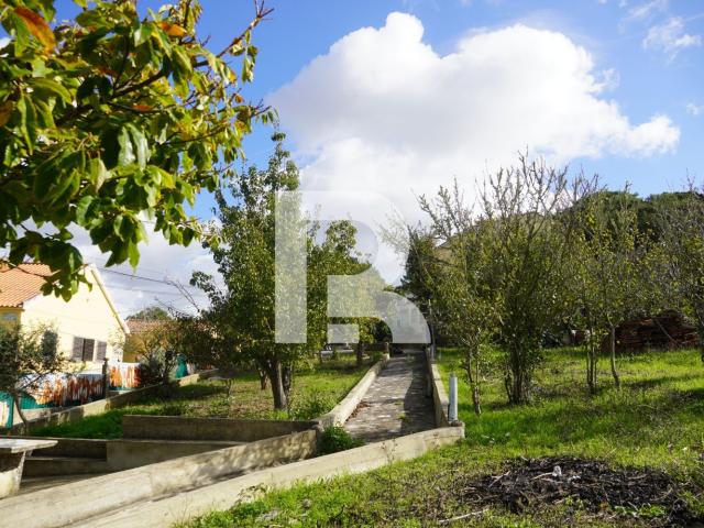 Quinta com 2 moradias independentes no Mucifal, Colares