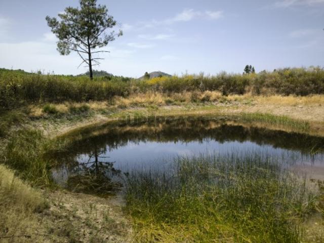 Quinta com 2 poços e barragem Juncal do Campo
