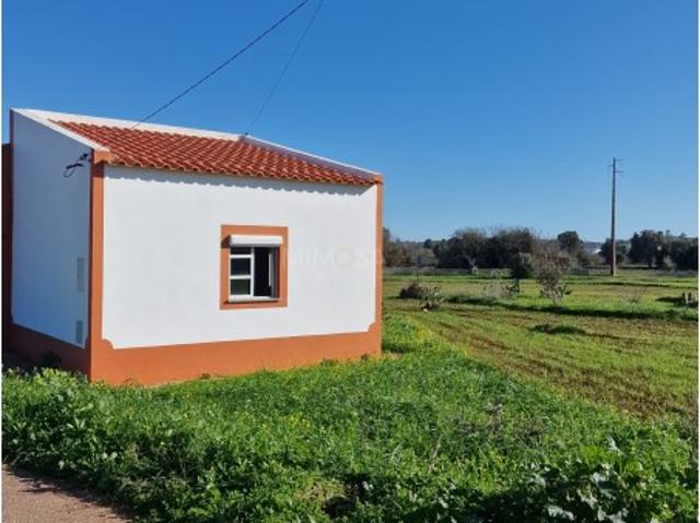 Quinta com 2 poços e Moradia T1 em Odiáxere, Lagos