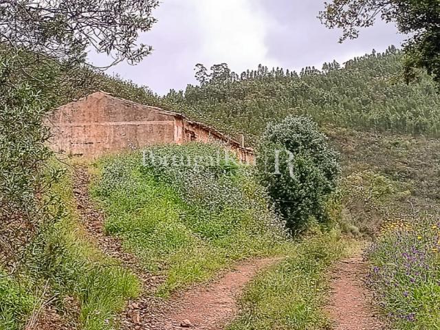 6.8 HA para Turismo Rural URBANIZÁVEL: 2000 M2 / 5000 M2. 2 ribeiros e nascente de água