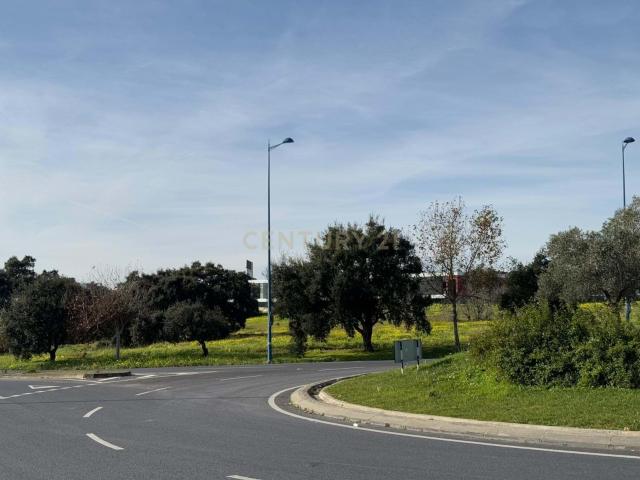 Terreno com 34.920 m2 junto à circular externa do Montijo