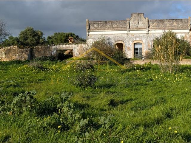 Quinta com 36.960m² à Venda na Fuseta Junto à Ria Formosa