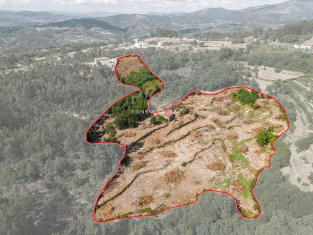 QUINTA COM 30.200m2 | 5.000m2 EM ZONA DE CONSTRUÇÃO | CASA E. 137m² Amarante São Gonçalo, de Madalena, de Cepelos e de Gatão