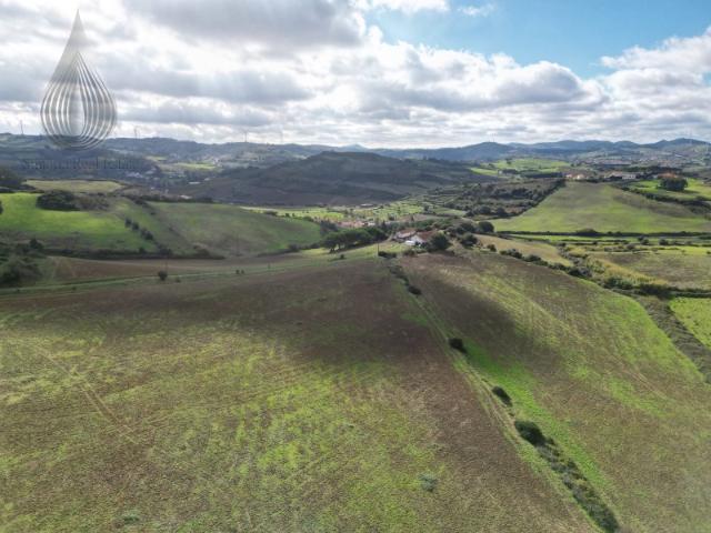Quinta com 32 hectares Torres Vedras