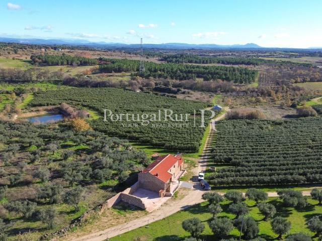 Quinta com 32ha e moradia para agricultura de regadio 186m² Vale De Prazeres
