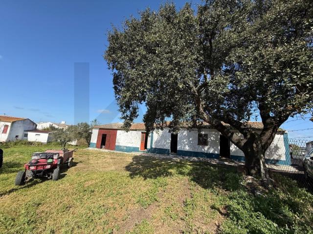 Quinta com 3.750 m², Moradia e Potencial Turístico – Refúgio. 150m² Ferreira do Alentejo e Canhestros