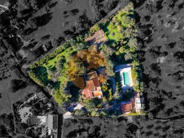Quinta com 3 Casas + Piscina e Garagem | 6.040 m² Moncarapacho