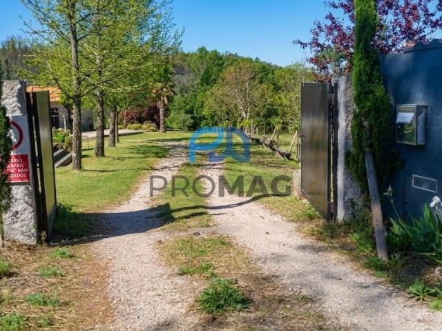 Quinta do Corgo com piscina, ideal para Habitação e Projeto Agrícola!