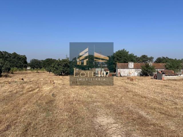 Quinta com 3 hectares de terreno no concelho da Moita