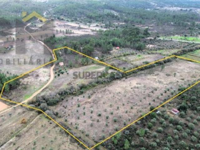 Quinta com 45.360m2 para venda em Freixial do Campo!