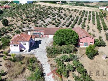 Quinta com 40.000 m² Privacidade, Natureza e Potencial no Oeste Bombarral