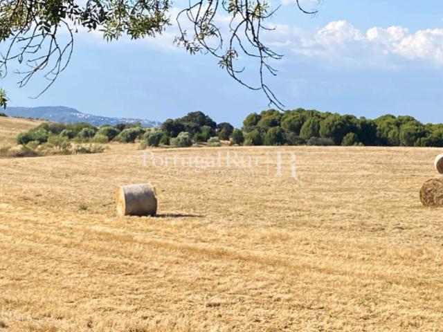 Quinta com 41,6 hectares em Idanha a Nova