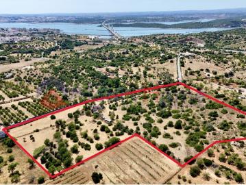 Quinta com 4,23 Hectares e Ruína para Reconstrução | Estômbar, Lagoa, Algarve