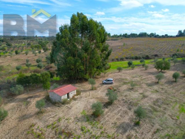 Quinta com 4.5ha e construção rural em São Miguel Acha Idanha a Nova