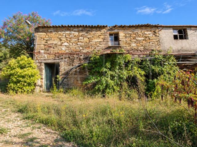 Quinta com 4,6 Hectares | Tábua