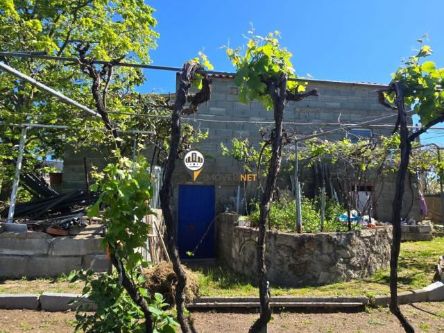 Quinta com 5000m2 com casa com garagem, Venda, Castelo Branco
