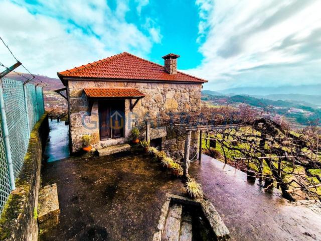Quinta com 1.595m² vinhas & Moradia T1 em Pedra – Baião