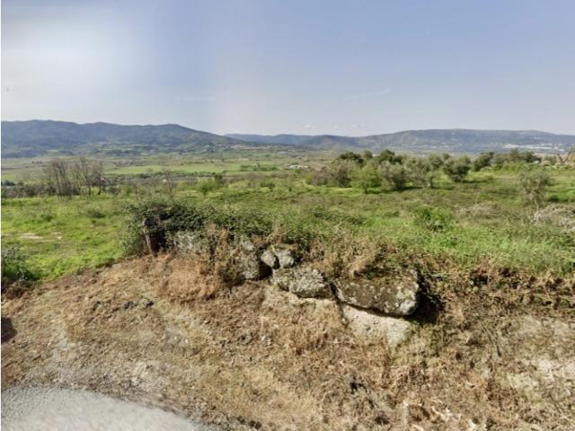 Quinta com 5,3 hectares em Belmonte Uma oportunidade única com história e potencial