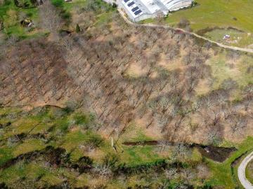 Quinta com 5,5 hectares nos Trinta /aldeia de montanha