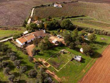 Quinta com 5,9 ha a 3 km de Borba Tranquilidade, Privacida. 450m² Borba Matriz