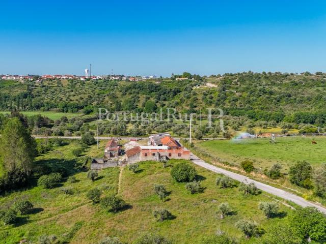 Quinta com 5 hectares e 800 m² de construção, Torres Novas