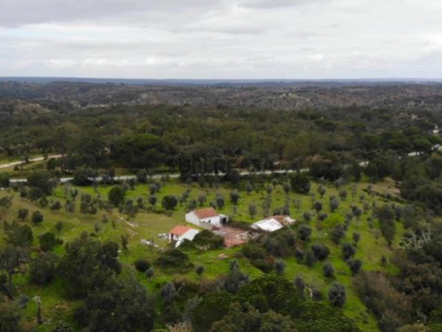 QUINTA COM 5HA DE TERRENO COM 500M2 URBANO GALVEIAS PONTE DE SOR