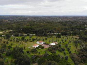 QUINTA COM 5HA DE TERRENO COM 500M2 URBANO GALVEIAS PONTE DE SOR