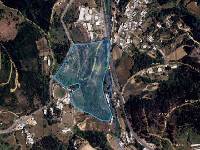 Quinta com 67.800 m2 em Lousa