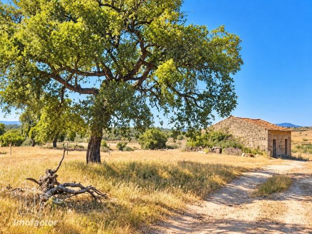 Quinta com 6,8 ha e Casa Rural em Granito – Idanha a Nova