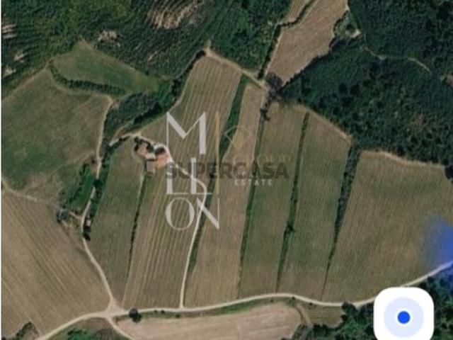 QUINTA COM 70 HECTARES NO CORAÇÃO DO DÃO VISEU