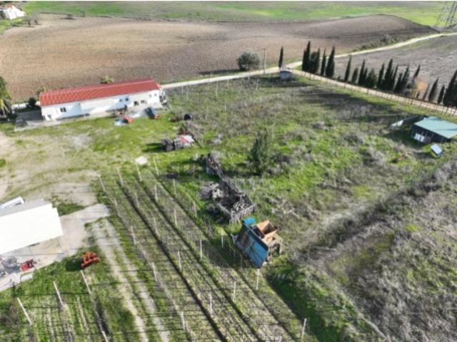 Quinta com 7,3 hectares em São Vicente do Paúl Santarém |