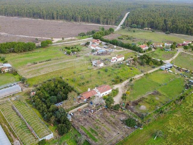 Quinta com 7.250 m² em Branca, Coruche – Moradia, Natureza e Potencial Único