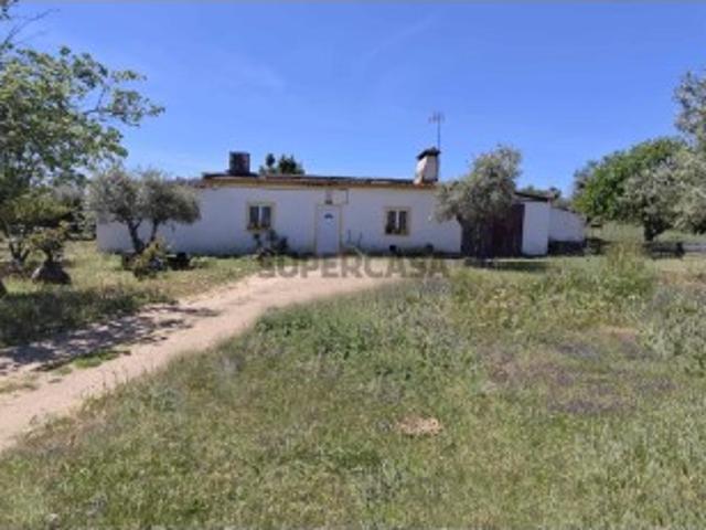 Um Refúgio no Alentejo: Quinta com quase 800 Oliveiras e Água Própria em Alter do Chão