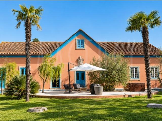Quinta com 7 Hectares, Vinha e Turismo | Próxima de Coimbra