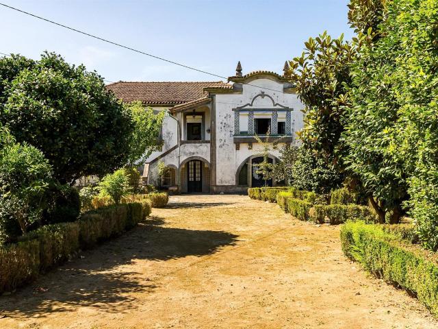 Quinta com 7 quartos, cultura frutos, Felgueiras m² São Miguel do Rio Torto e Rossio ao Sul do Tejo