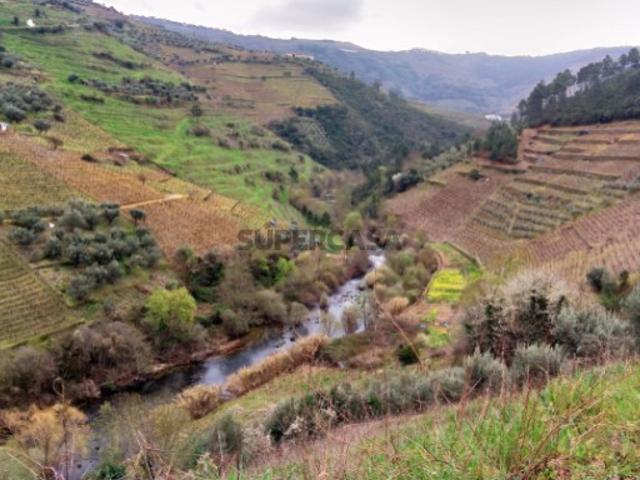 Quinta com 7ha e com projeto de remodelação, situada no Douro Vinhateiro em Santa Marta de Penaguião