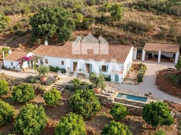Quinta com 9,1 hectares ideal para Turismo Rural ou Projecto Agrícola