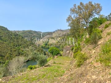 Quinta com 9.500m2 junto ao Rio Zêzere