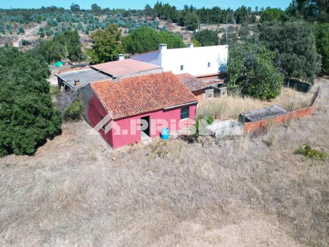 Quinta com 9.750m2 para Venda na Mata